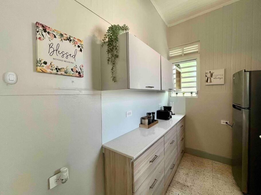 New! Antique House At Ponceヴィラ エクステリア 写真